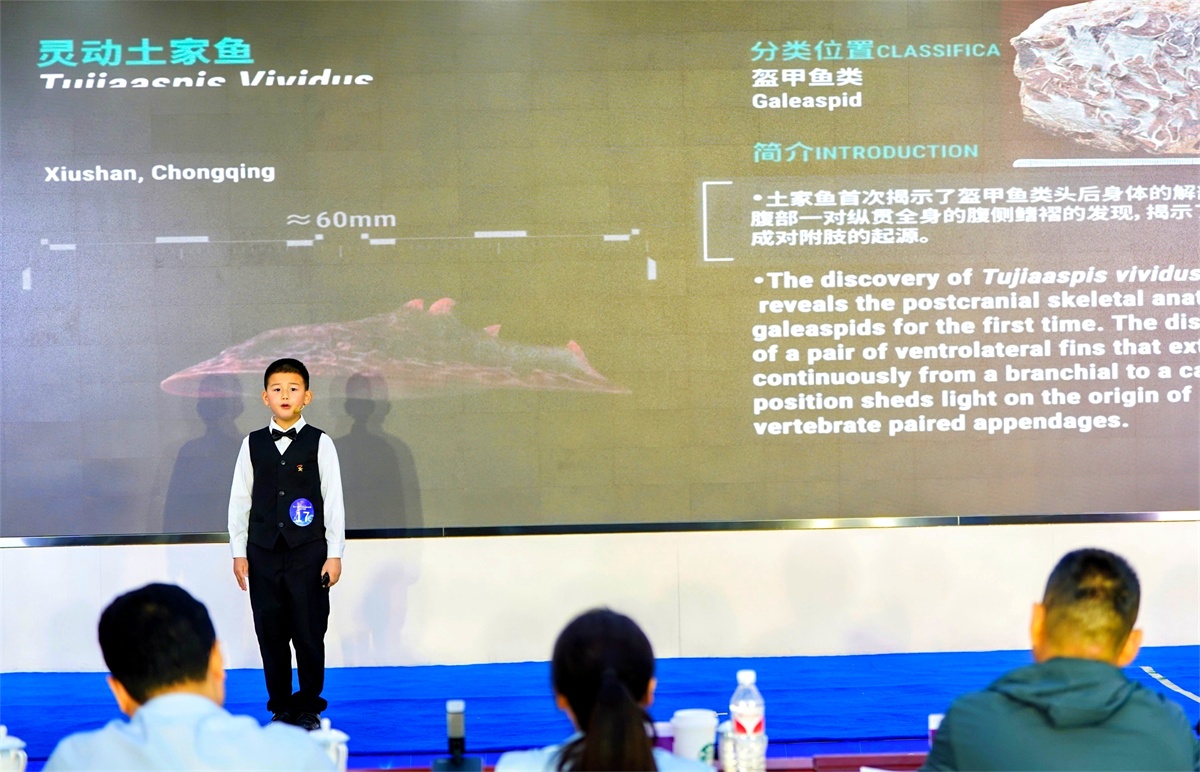 图片1-530.jpg 图片1-530.jpg